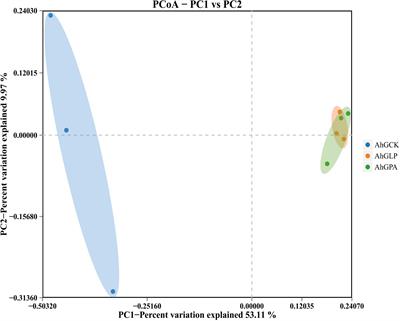 Lactobacillus plantarum and propionic acid improve the fermentation quality of high-moisture amaranth silage by altering the microbial community composition